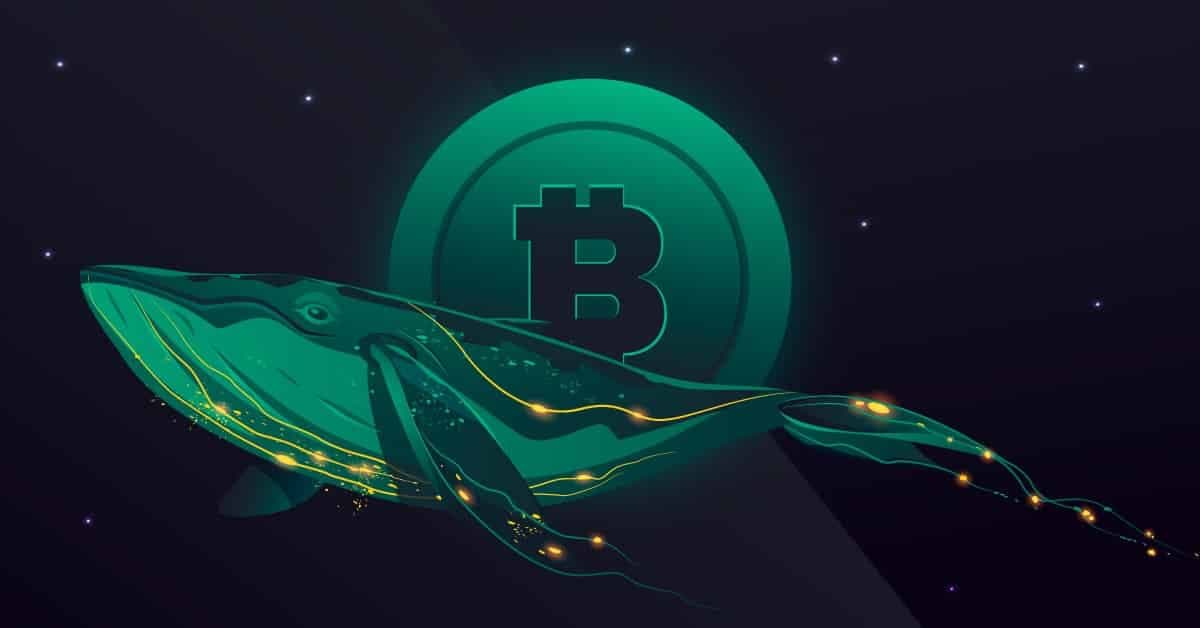 Bitcoin Whale Activity and Germany's Bitcoin Holdings