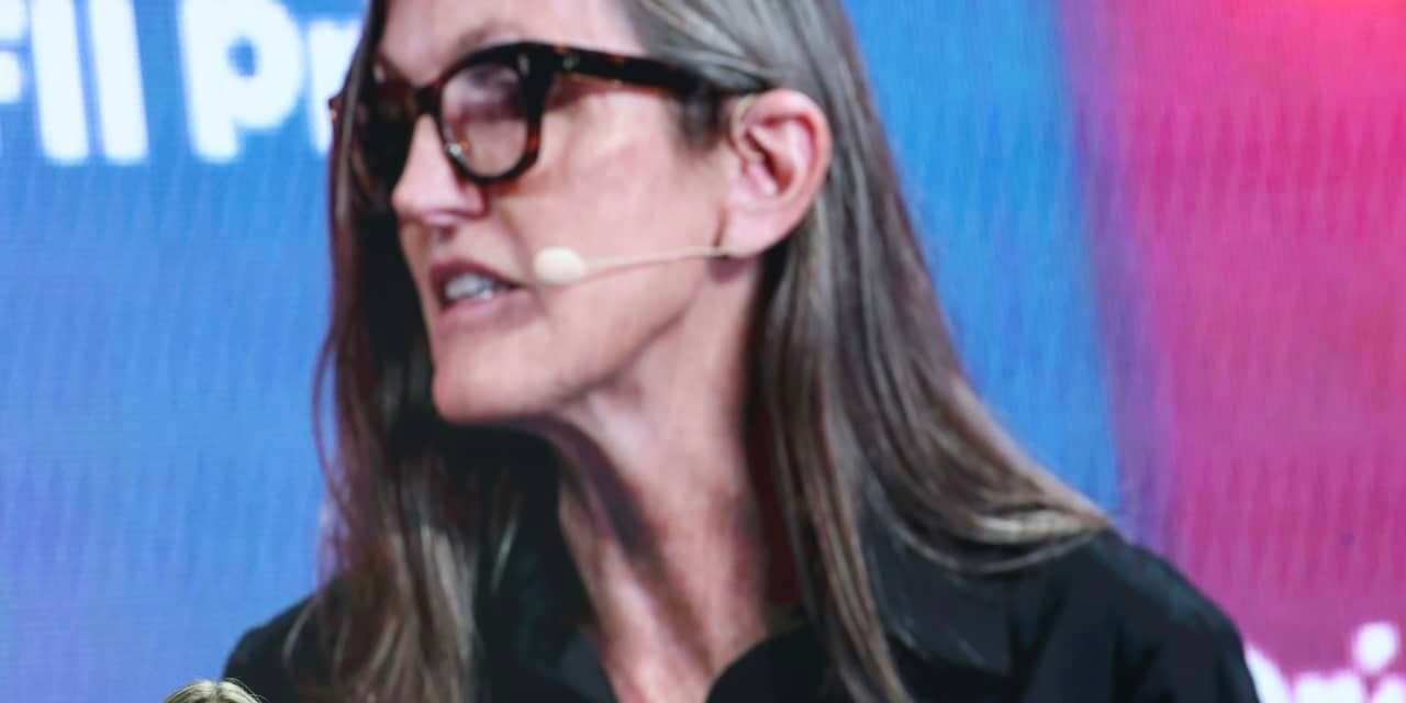 Cathie Wood's ARK Funds Triple Down on Crypto Rebound: Here's What She's Buying Now
