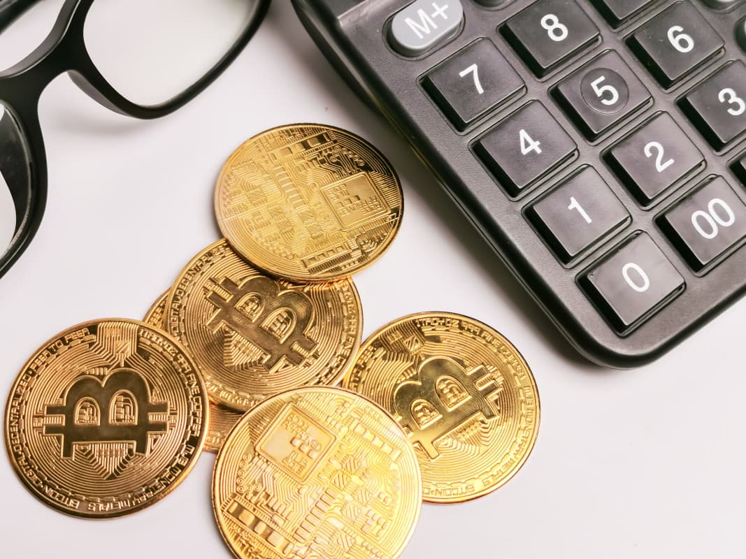 Is 2025 the Year Bitcoin Takes Off for Corporations? Insights from Industry Experts