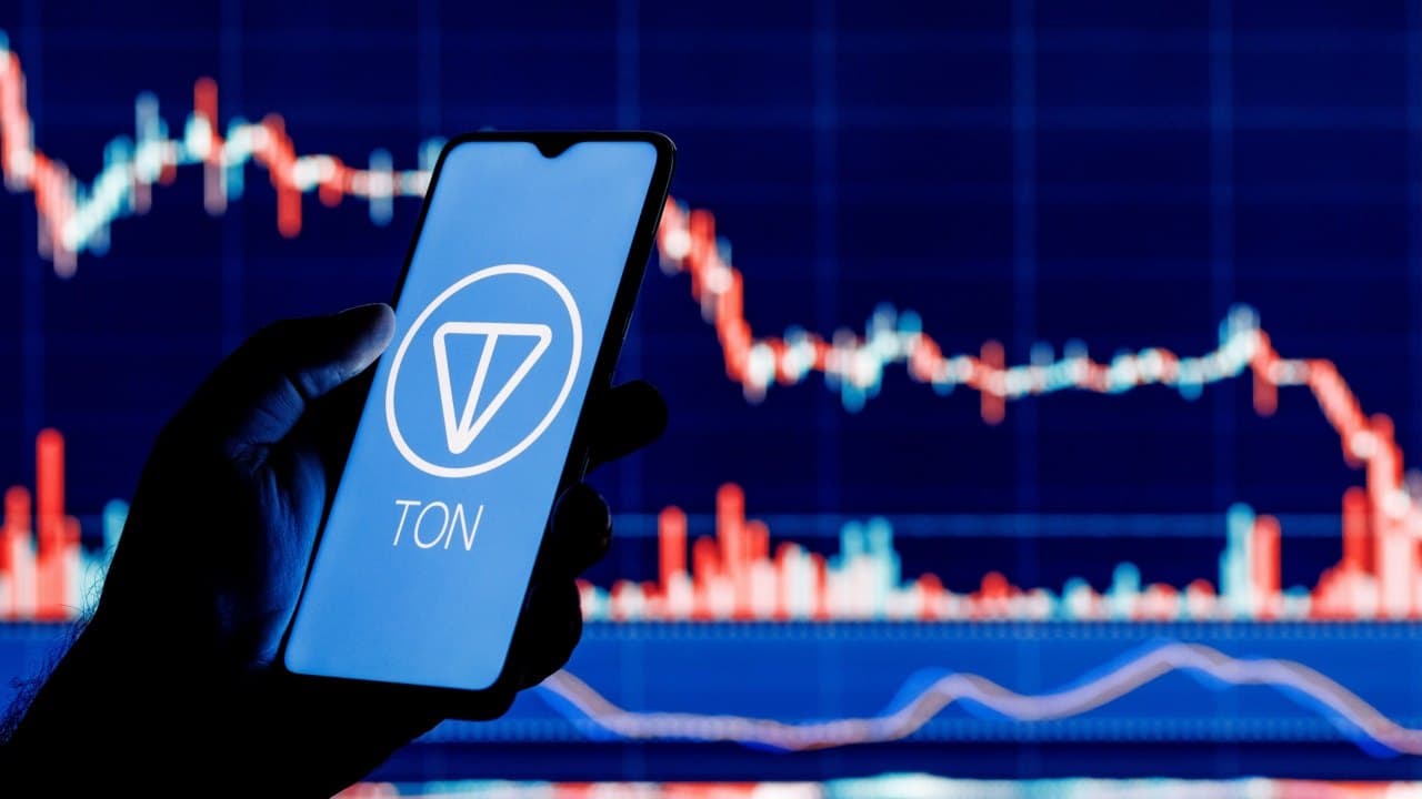 Shocking Arrests and Crypto Predictions: Telegram CEO in Custody, Coinbase CEO Optimistic about Payment Future