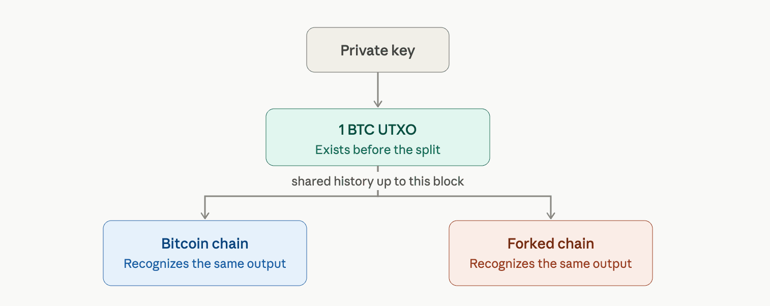 UTXO history visual
