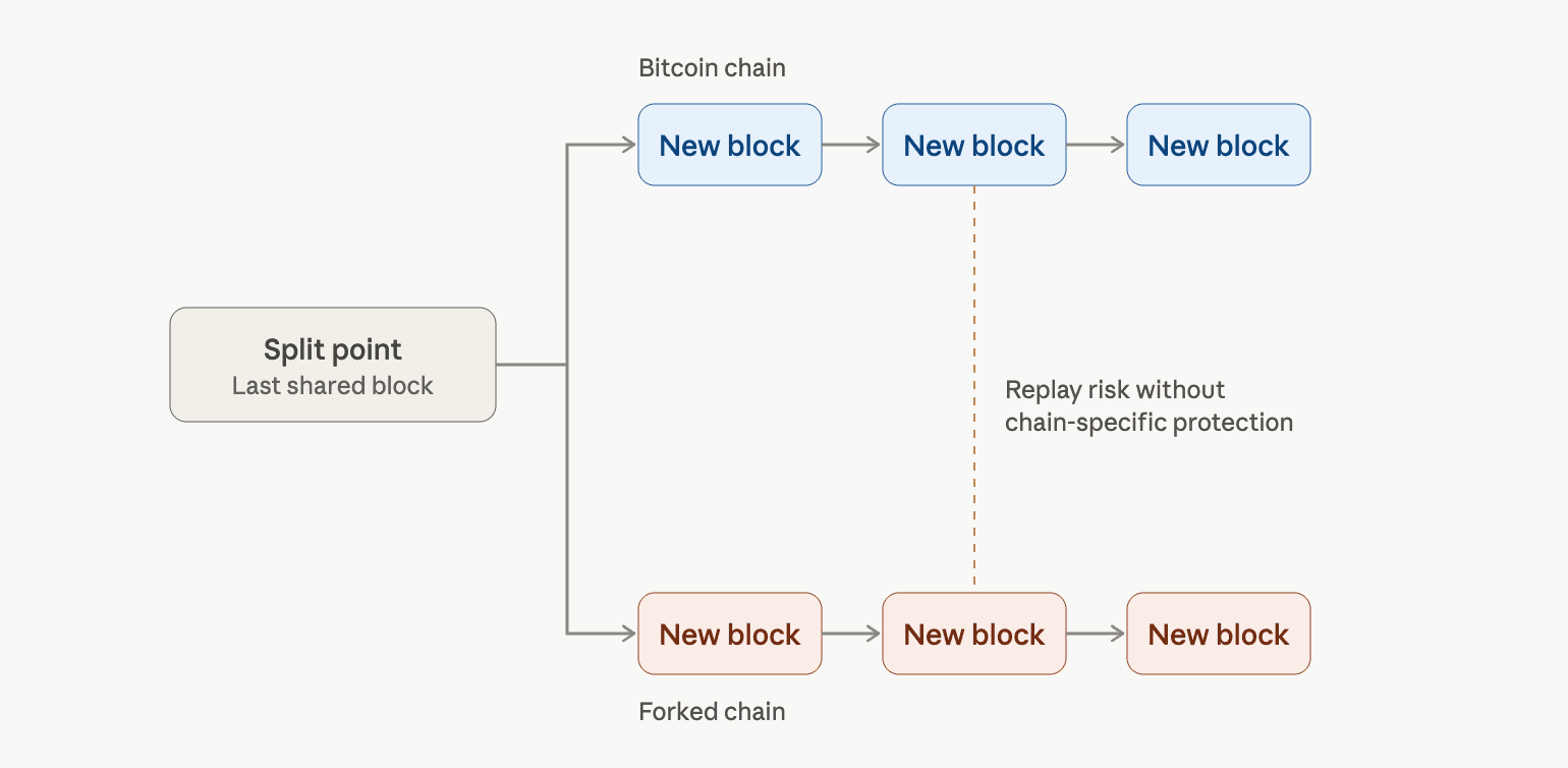 Chain split visual