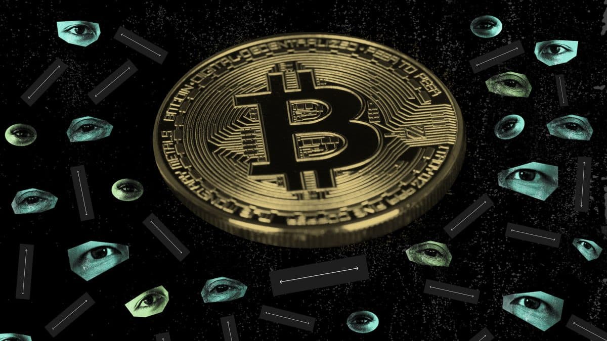 Bitcoin's Rise and Fall: A Look at Crypto Markets in 2024