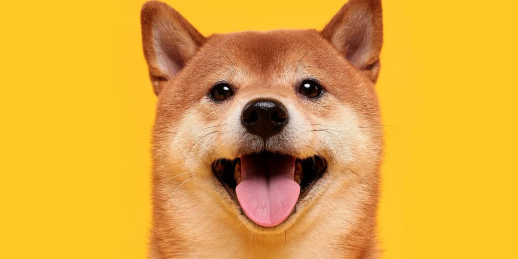 JustGiving Breaks New Ground: Now Accepting Bitcoin and Dogecoin Donations!