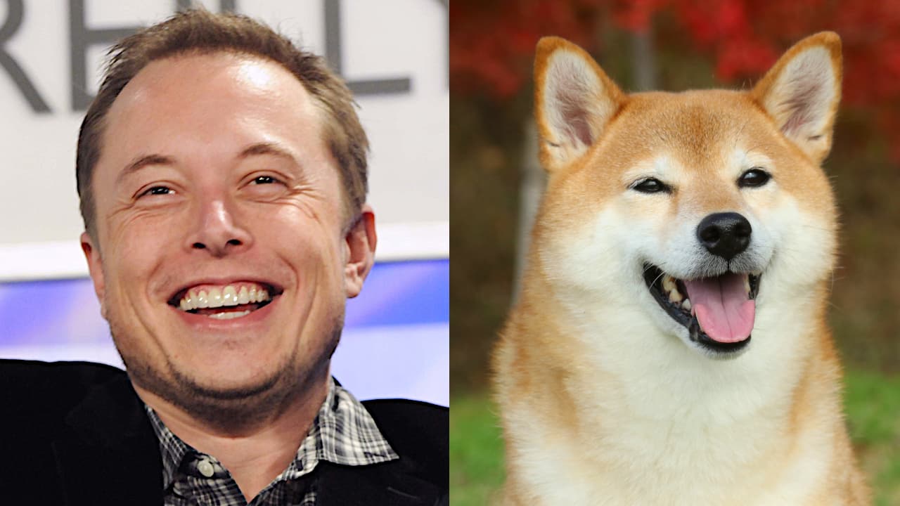 Elon Musk and Dogecoin