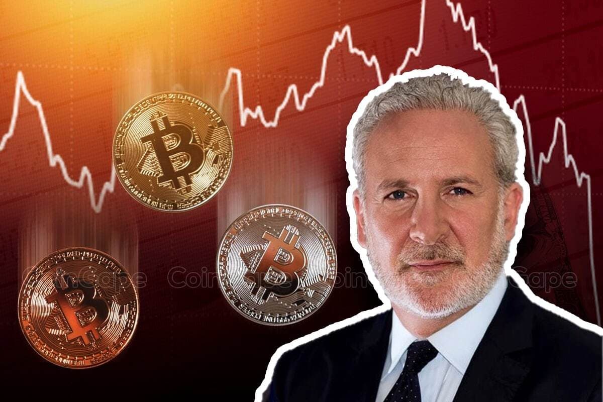 Hedge Funds Manipulation Could Crash Bitcoin: Peter Schiff's Warning