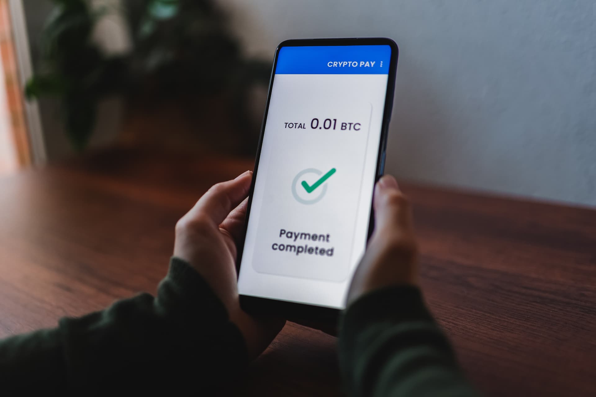 Should You Trade Bitcoin for Solana? Uncovering the Best Crypto Investment Strategy!