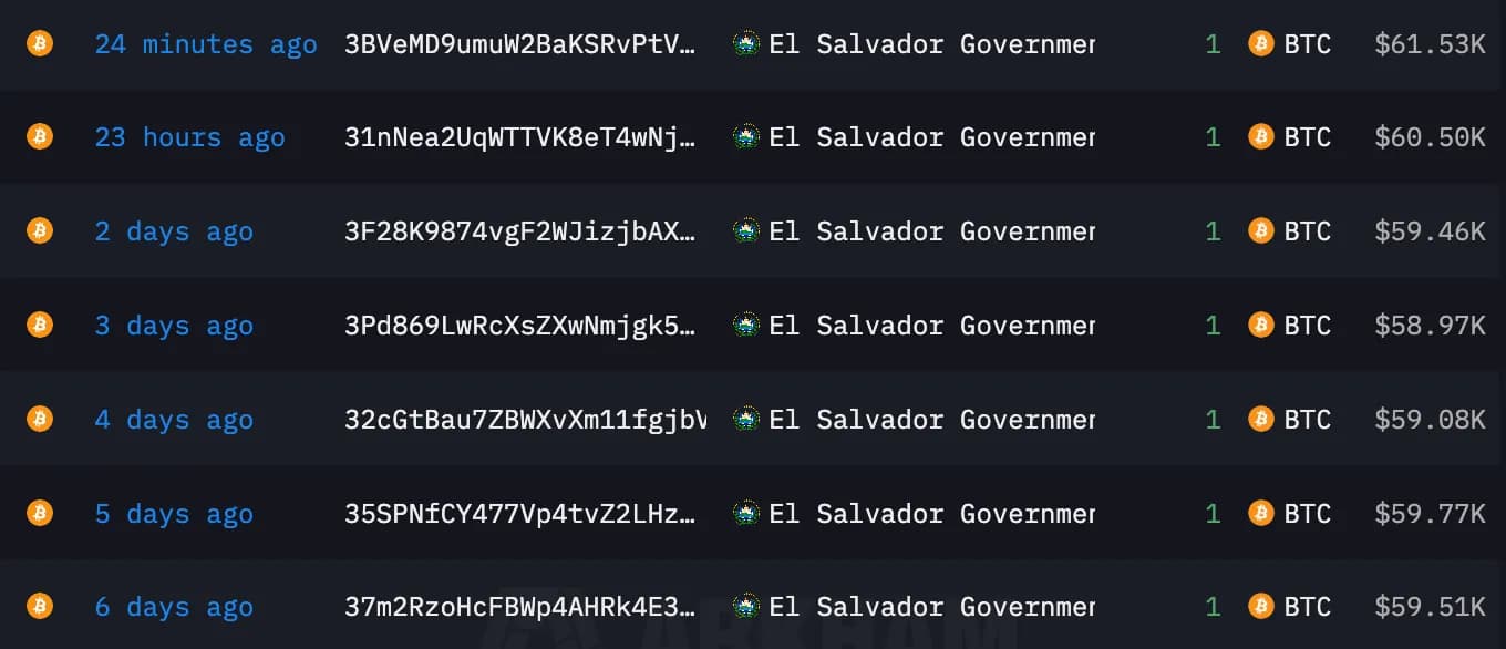 Recent Bitcoin purchases from El Salvador. Image: Arkham Intelligence