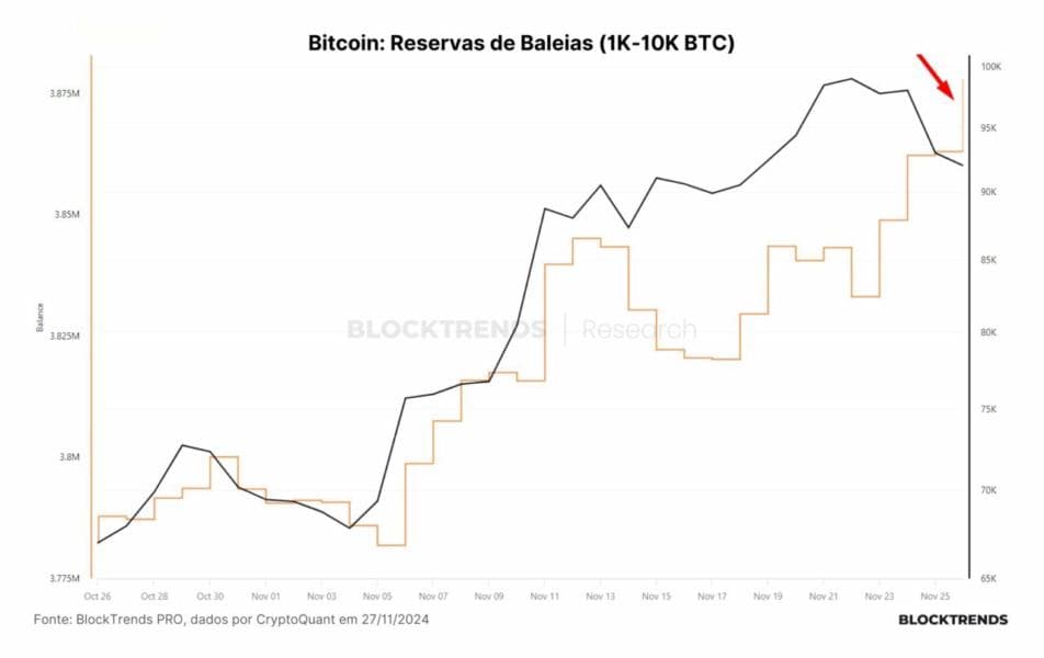 Bitcoin Accumulation