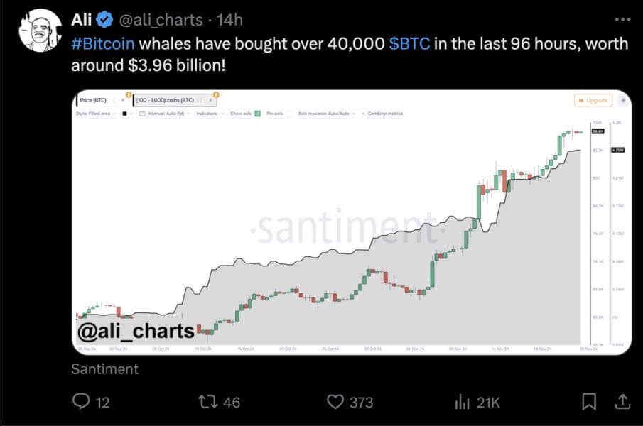 Whale Buying Activity