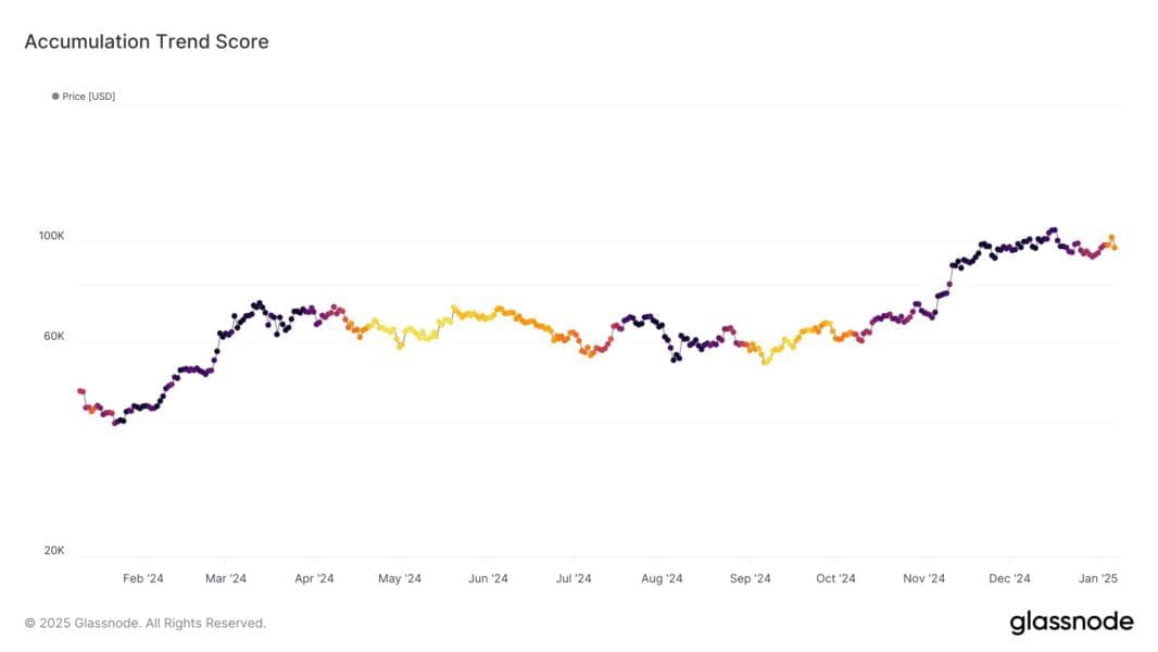 Bitcoin Accumulation Trend Score