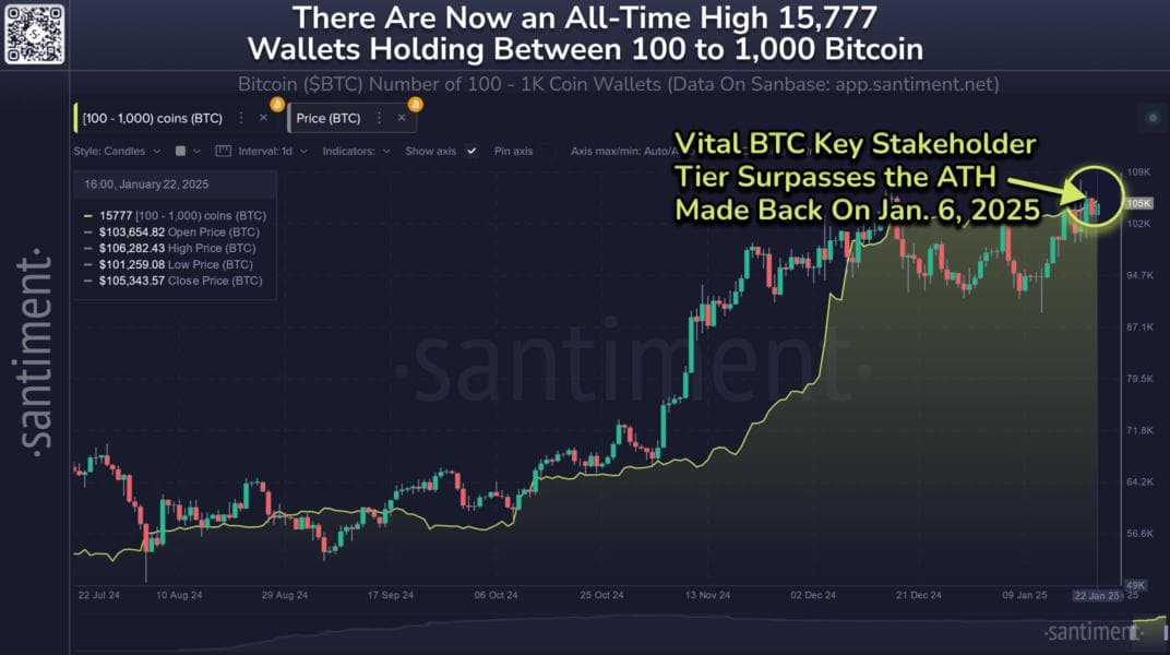 Bitcoin Sharks