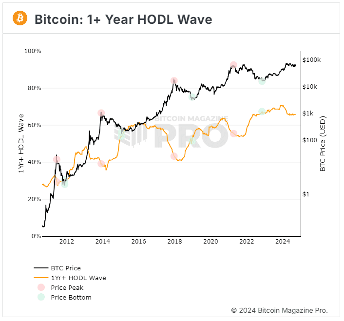 HODL Wave